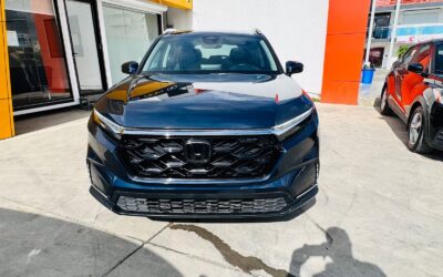 Cb482e55 Decd 4c65 Bcce F91aa965c952